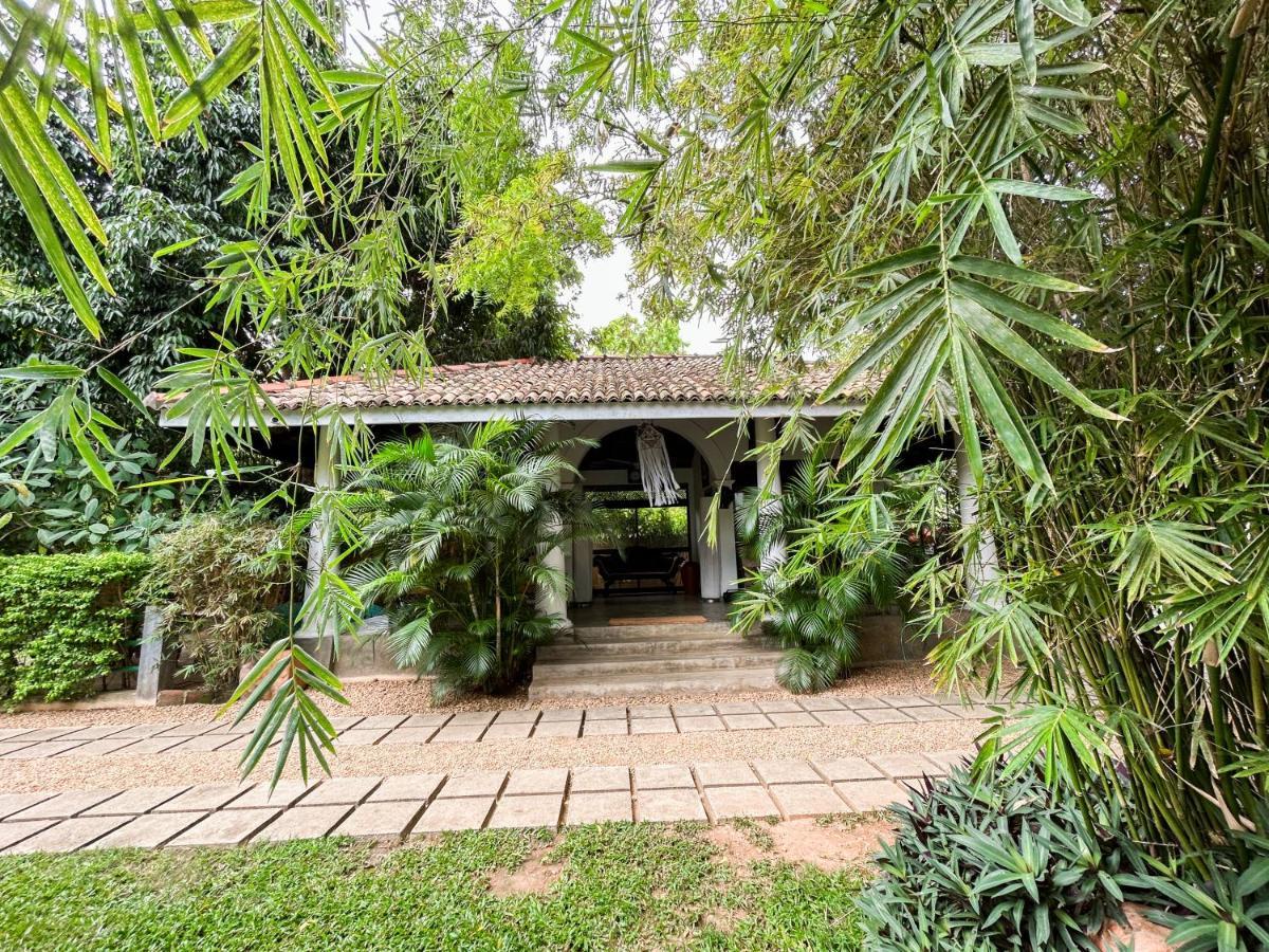 Wild Heaven Otel Tissamaharama Dış mekan fotoğraf