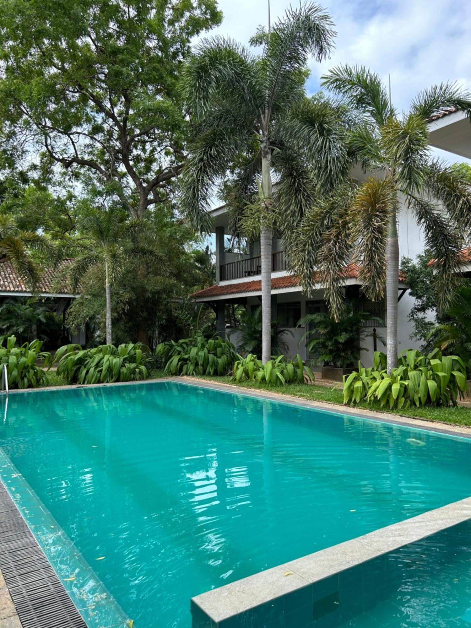 Wild Heaven Otel Tissamaharama Dış mekan fotoğraf