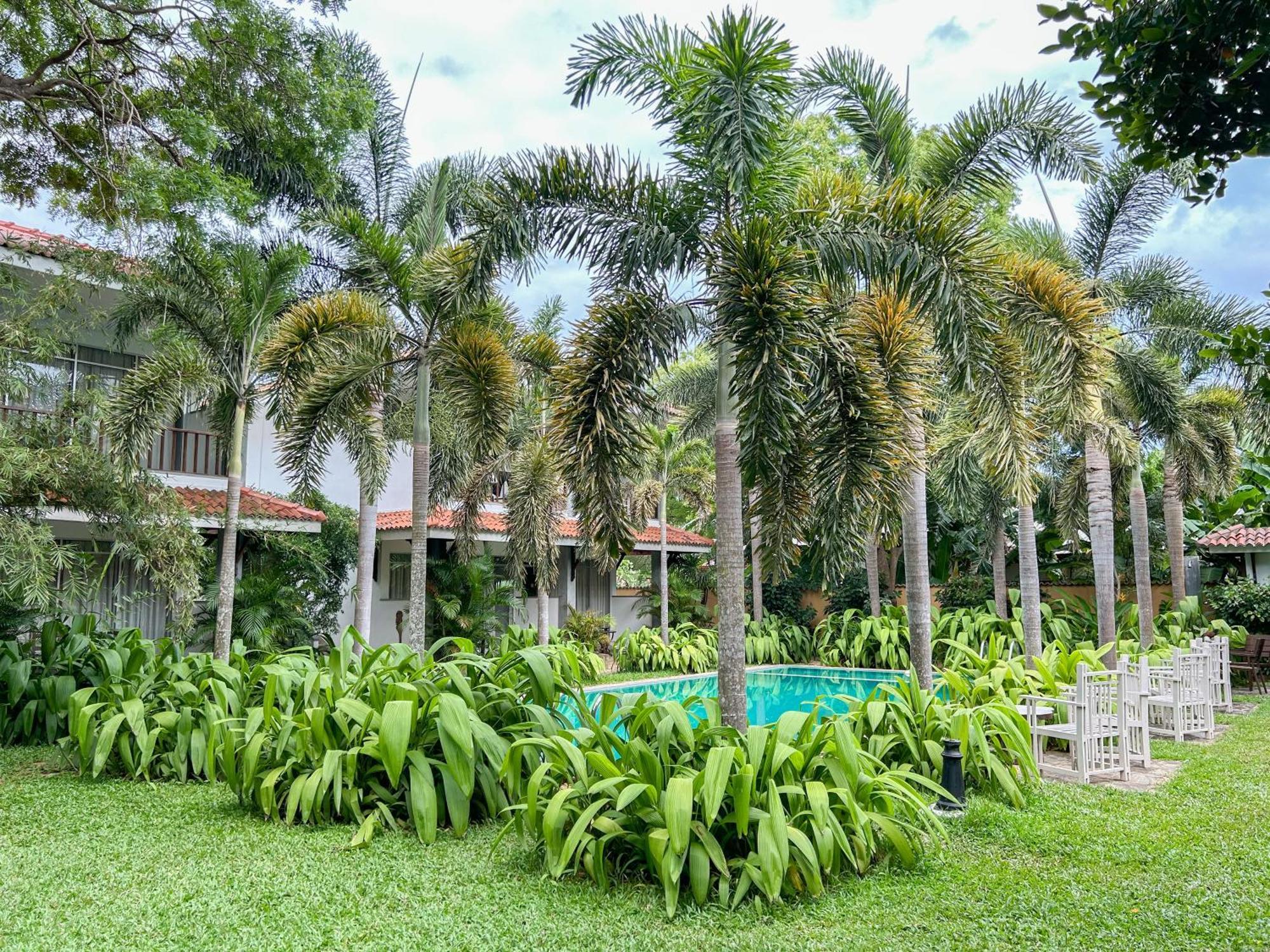 Wild Heaven Otel Tissamaharama Dış mekan fotoğraf