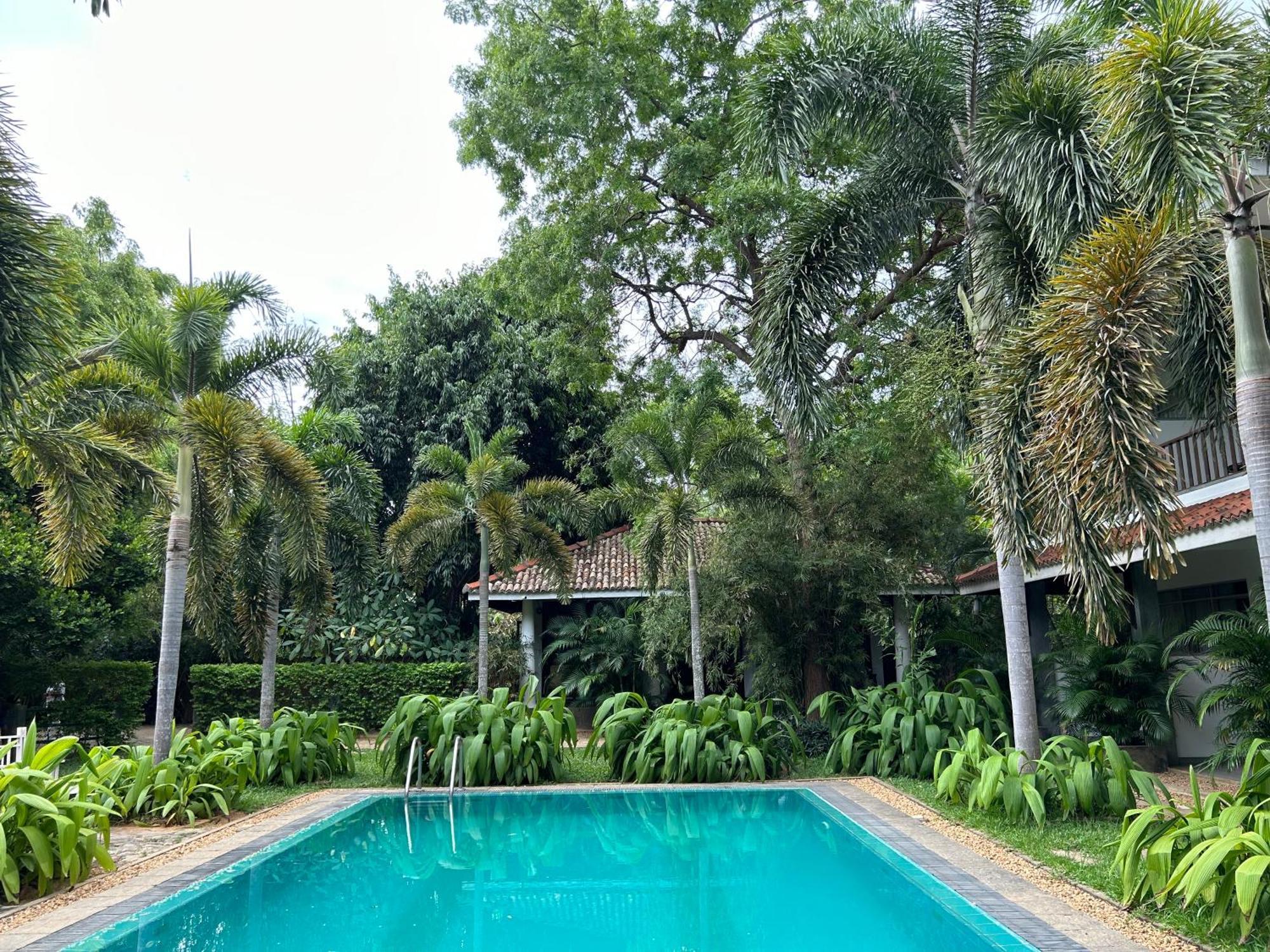 Wild Heaven Otel Tissamaharama Dış mekan fotoğraf